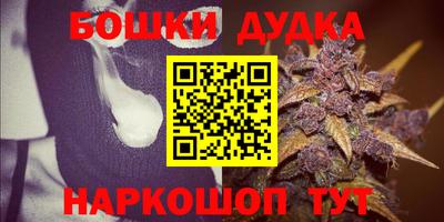 прущие грибы Обь