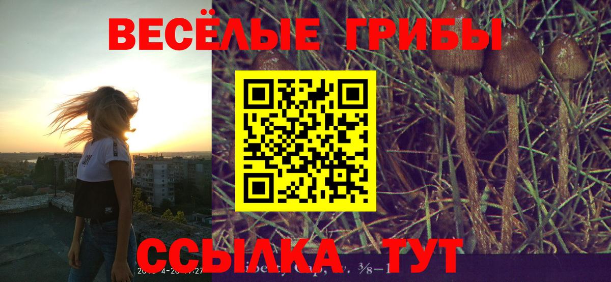 Псилоцибиновые грибы MAGIC MUSHROOMS Узловая